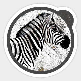 Zebra with postmark Sticker